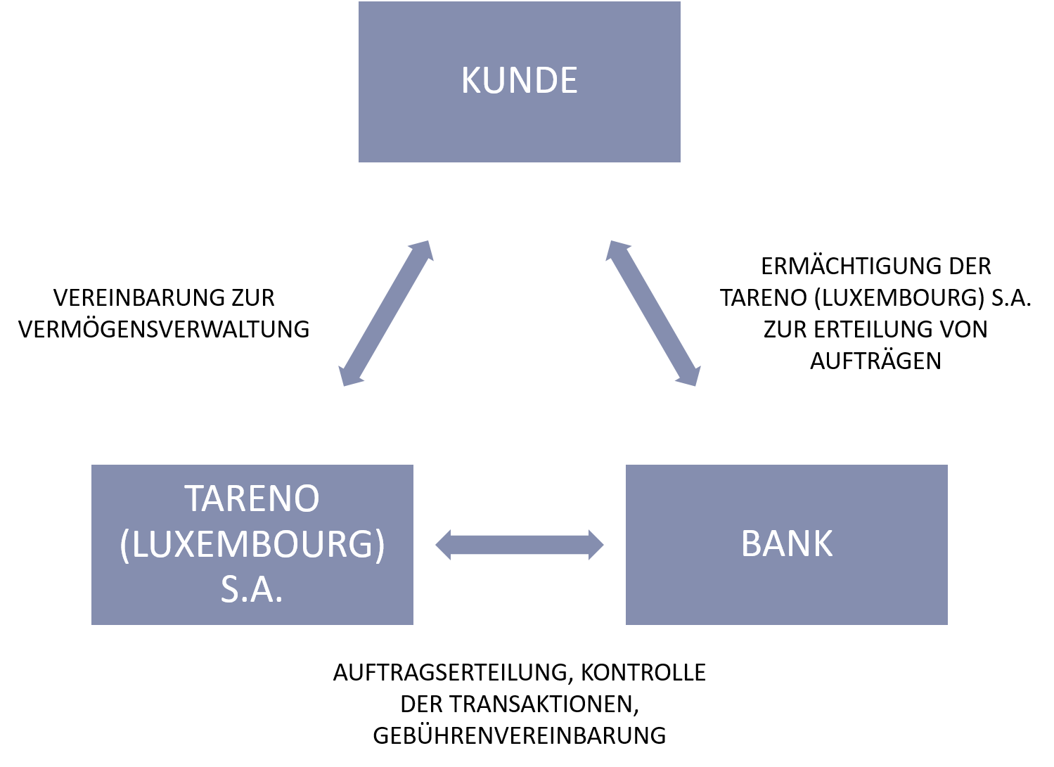 Tareno Luxembourg Anlageprozess De