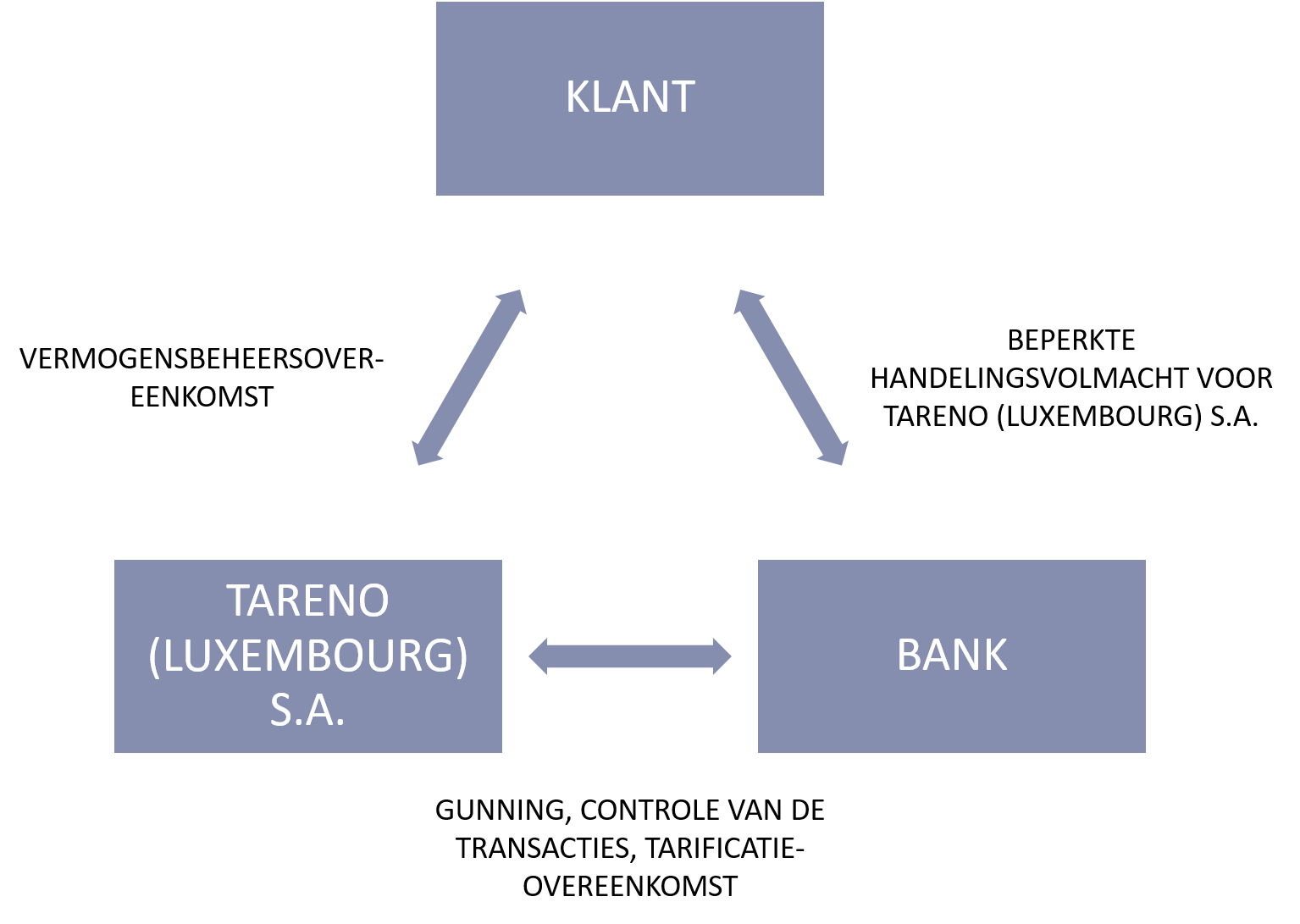 Tareno Luxembourg Beleggingsproces Nl 1